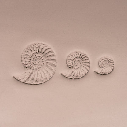 Ammonite Fossil Shell Stamp - Photo Textured - Style 1 - Ceramind® Tools