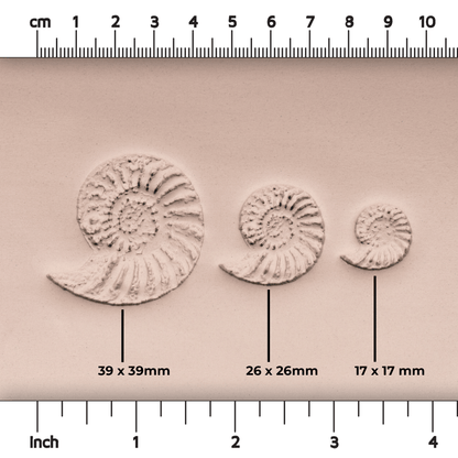 Ammonite Fossil Shell Stamp - Photo Textured - Style 1 - Ceramind® Tools