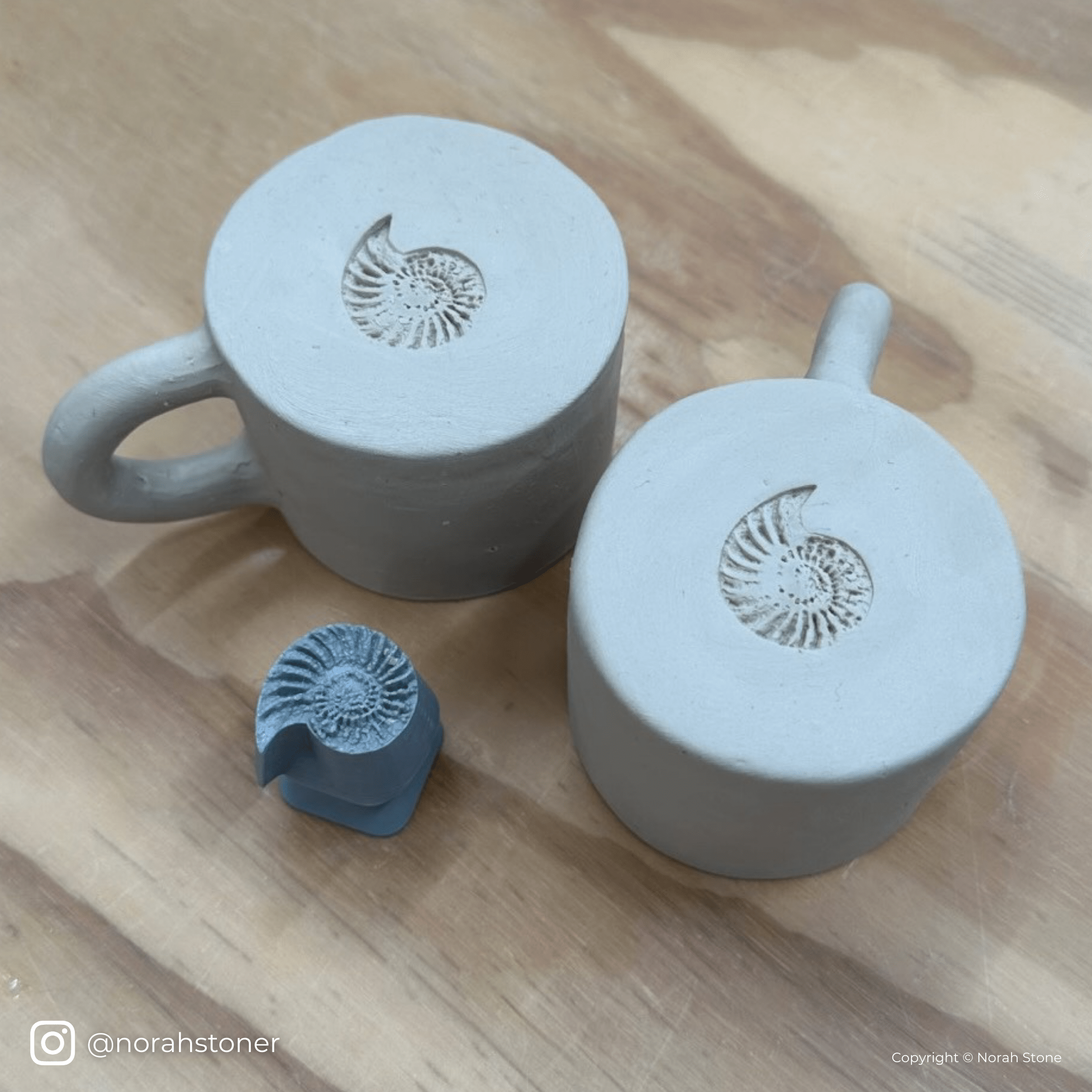 Ammonite Fossil Shell Stamp - Photo Textured - Style 1 - Ceramind® Tools