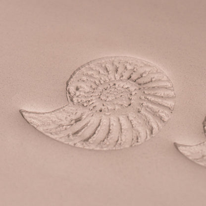 Ammonite Fossil Shell Stamp - Photo Textured - Style 1 - Ceramind® Tools