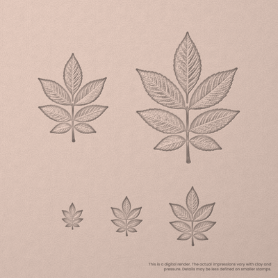 Ash Leaf Stamps - Photo Textured - Ceramind® Tools