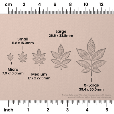 Ash Leaf Stamps - Photo Textured - Ceramind® Tools