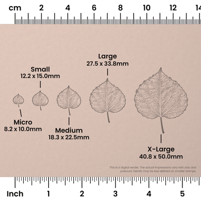 Aspen Leaf Stamps - Photo Textured - Ceramind® Tools