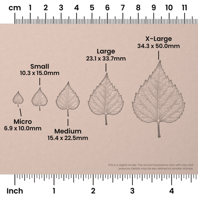 Birch Leaf Stamps - Photo Textured - Ceramind® Tools