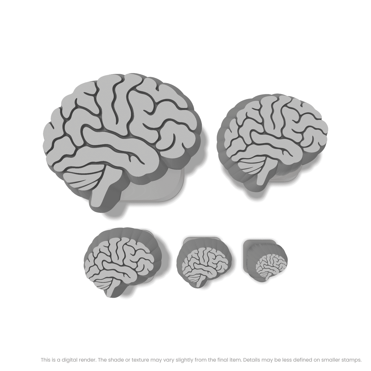 Brain (Side View) Stamps - Ceramind® Tools