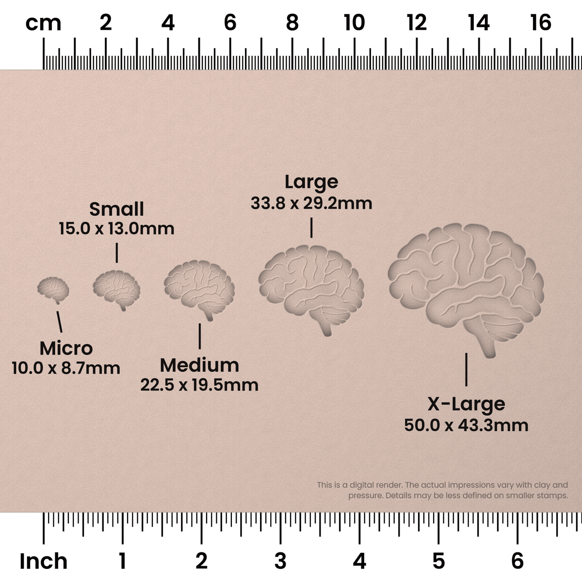 Brain (Side View) Stamps - Ceramind® Tools