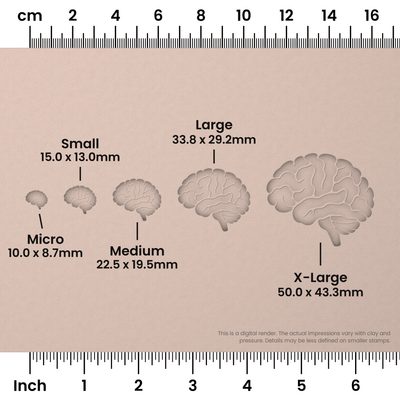 Brain (Side View) Stamps - Ceramind® Tools