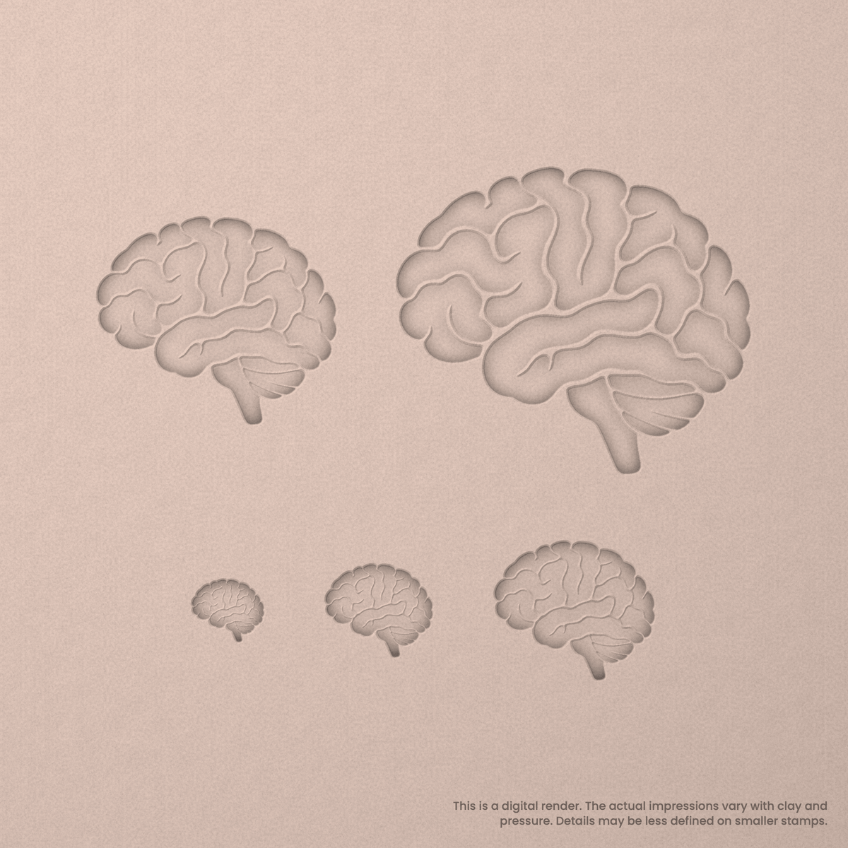 Brain (Side View) Stamps - Ceramind® Tools