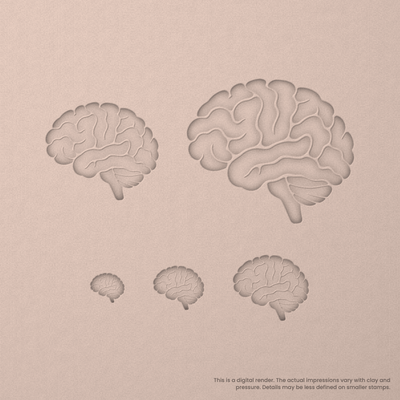 Brain (Side View) Stamps - Ceramind® Tools