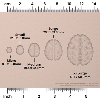 Brain (Top View) Stamps - Ceramind® Tools