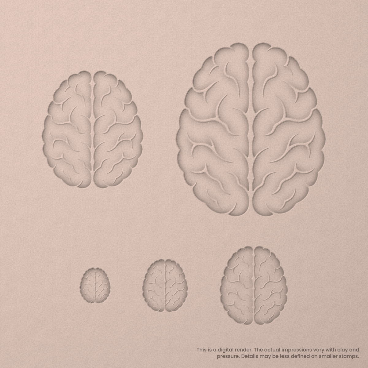 Brain (Top View) Stamps - Ceramind® Tools