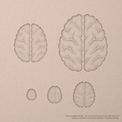 Brain (Top View) Stamps - Ceramind® Tools