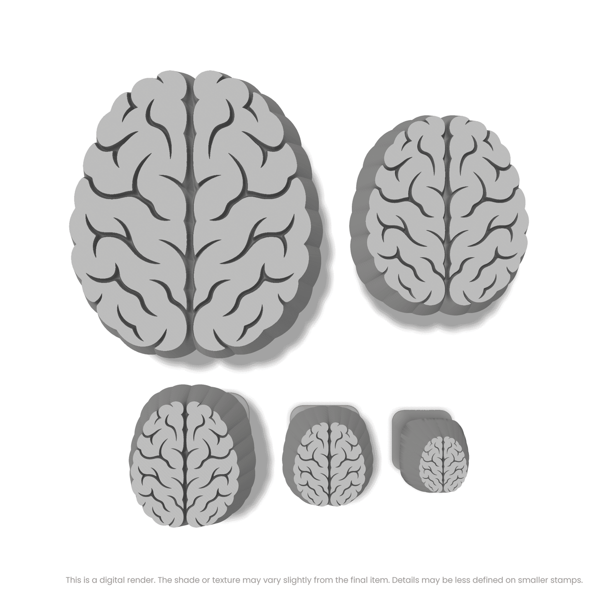 Brain (Top View) Stamps - Ceramind® Tools