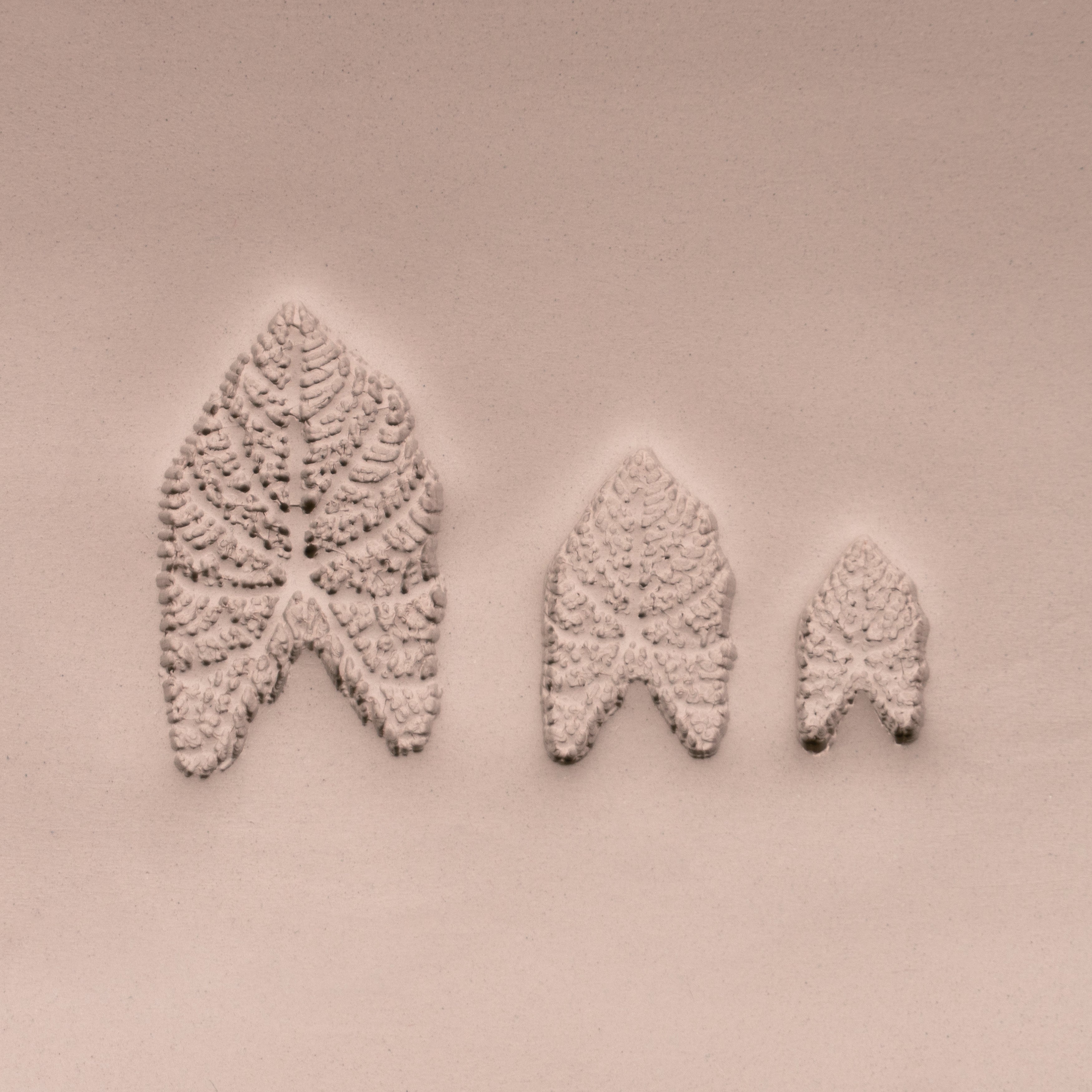 Caladium Tropical Plant Leaf Stamp - Photo Textured - Style 1 - Ceramind® Tools