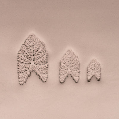 Caladium Tropisk Växtbladstämpel - Fototexturerad - Stil 1 - Ceramind® Tools