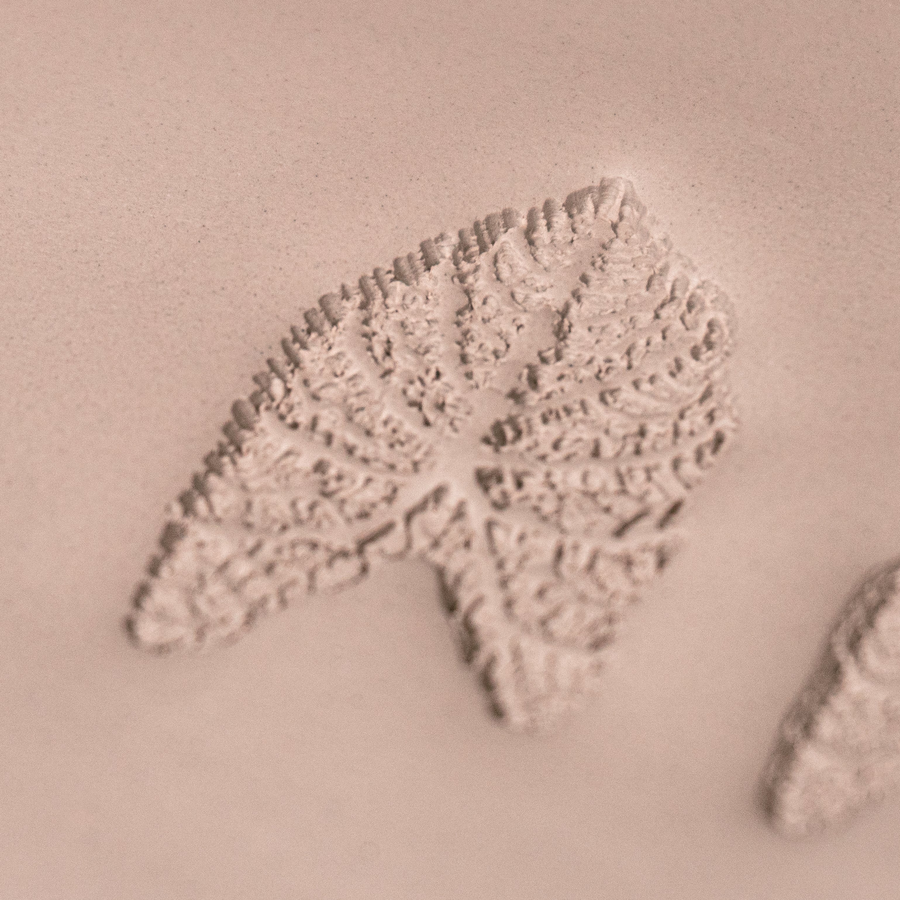 Caladium Tropical Plant Leaf Stamp - Photo Textured - Style 1 - Ceramind® Tools