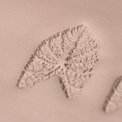 Caladium Tropisk Växtbladstämpel - Fototexturerad - Stil 1 - Ceramind® Tools