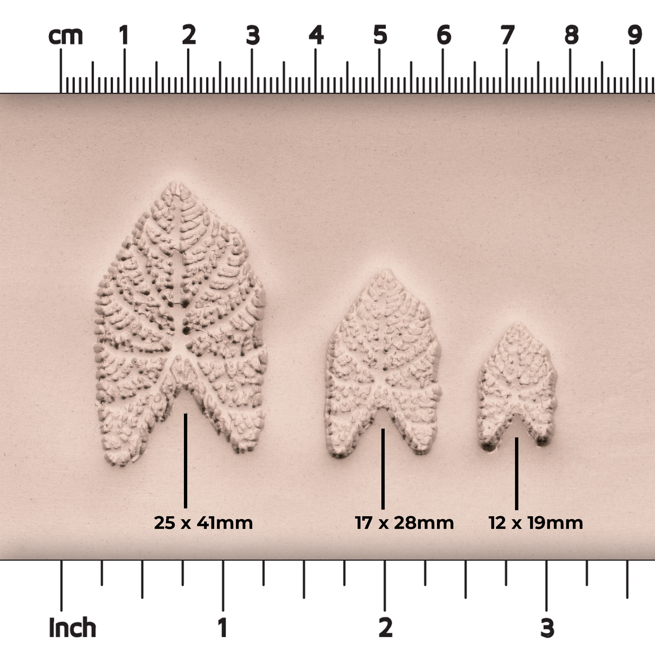Caladium Tropical Plant Leaf Stamp - Photo Textured - Style 1 - Ceramind® Tools