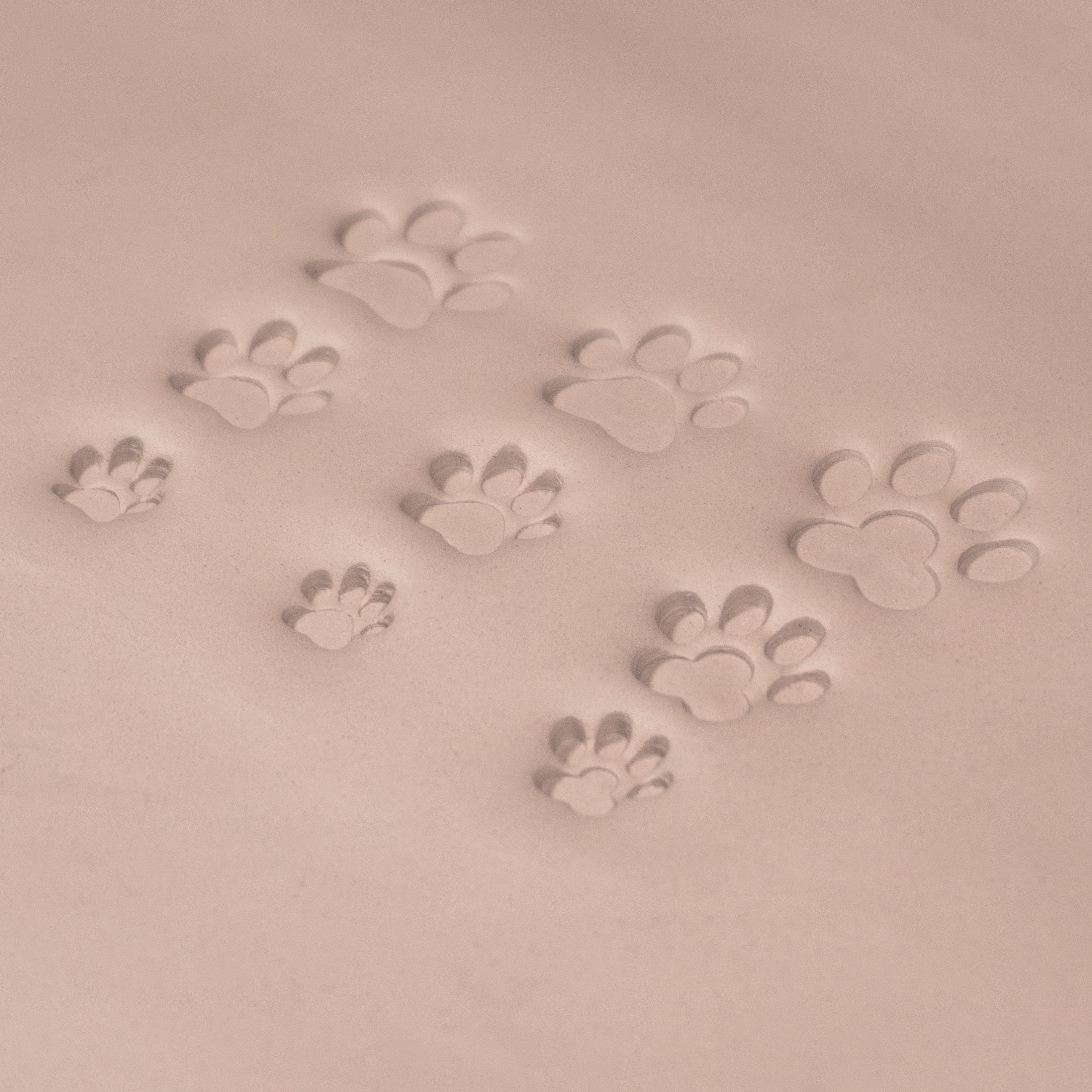 Cat Paw Stamps - Ceramind® Tools