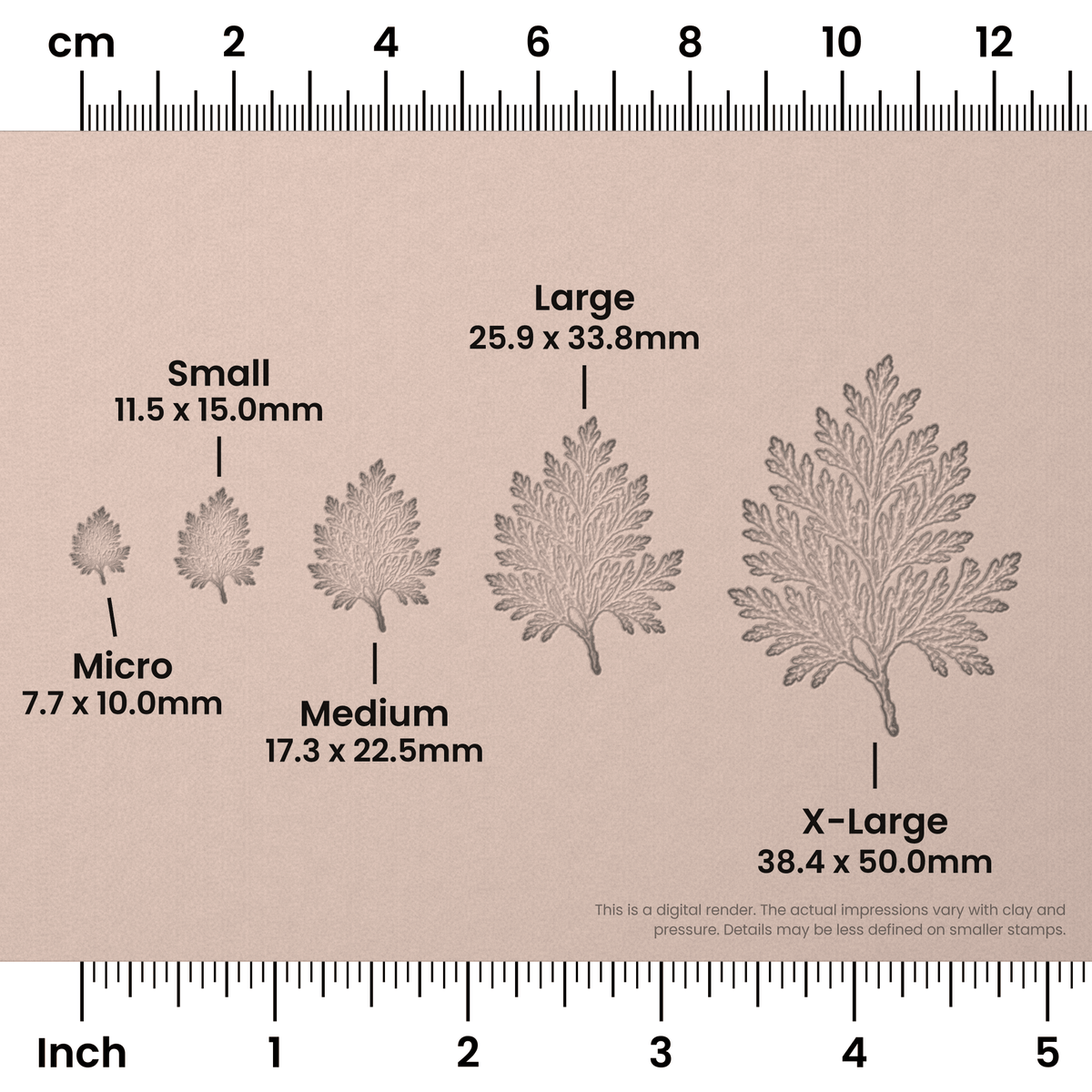 Cedar Leaf Stamps - Photo Textured - Ceramind® Tools