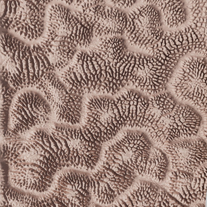 Clay Texture Roller - Coral Texture - Variation 01 - Ceramind® Tools