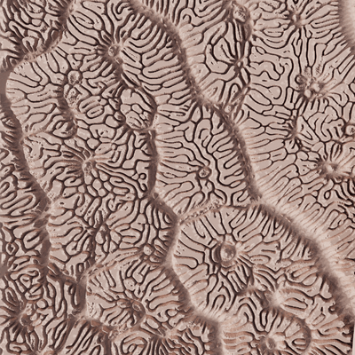 Lertexturrulle - Koralltextur - Variant 03 - Ceramind® Tools