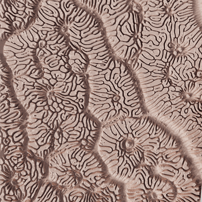 Clay Texture Roller - Coral Texture - Variation 03 - Ceramind® Tools