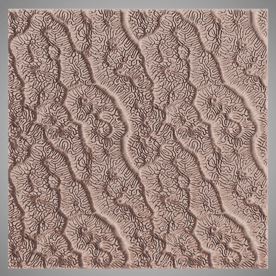 Lertexturrulle - Koralltextur - Variant 03 - Ceramind® Tools