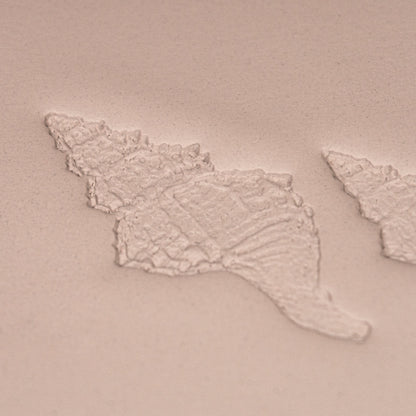 Conch Shell Stamp - Photo Textured - Style 1 - Ceramind® Tools