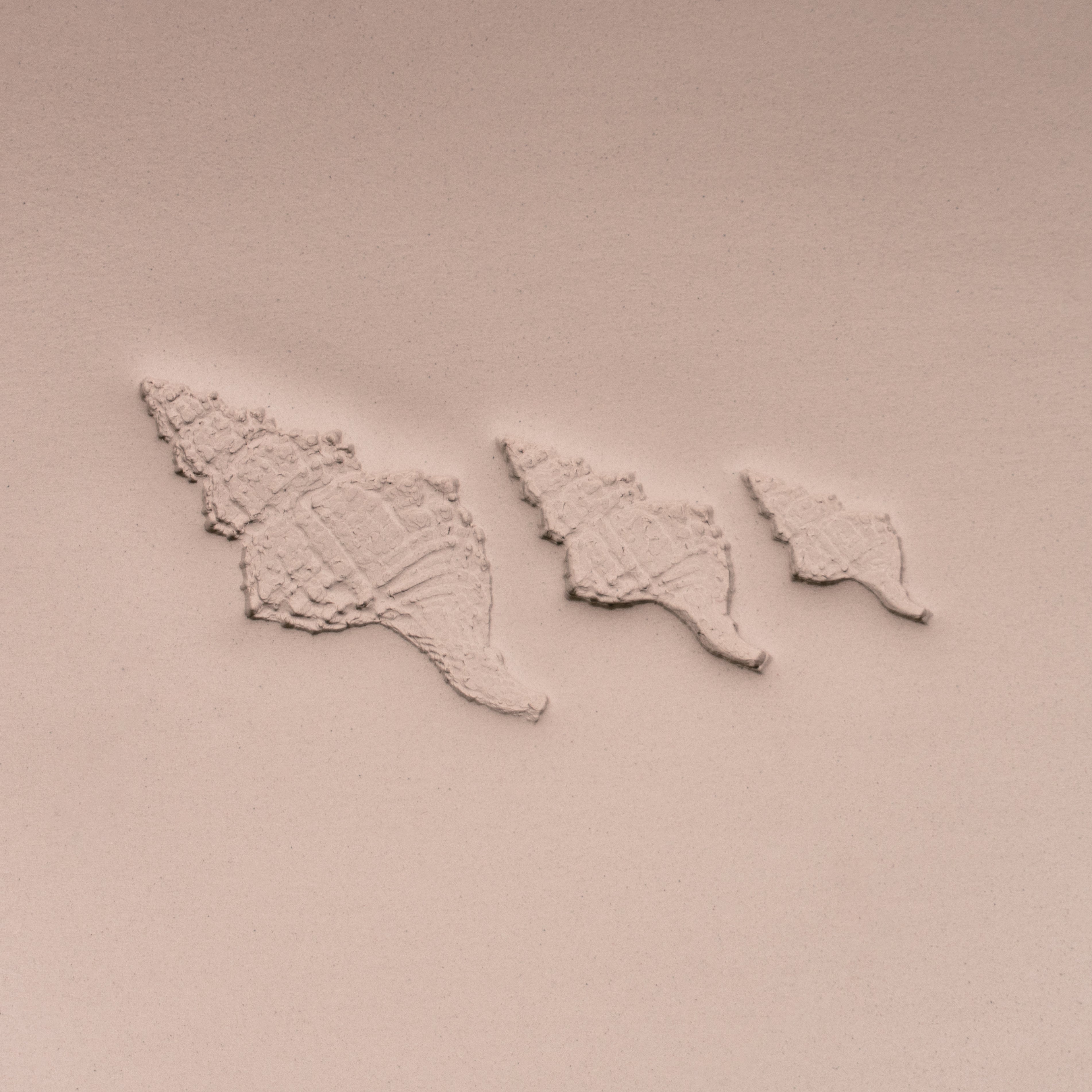 Conch Shell Stamp - Photo Textured - Style 1 - Ceramind® Tools