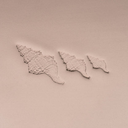 Conch Shell Stamp - Photo Textured - Style 1 - Ceramind® Tools