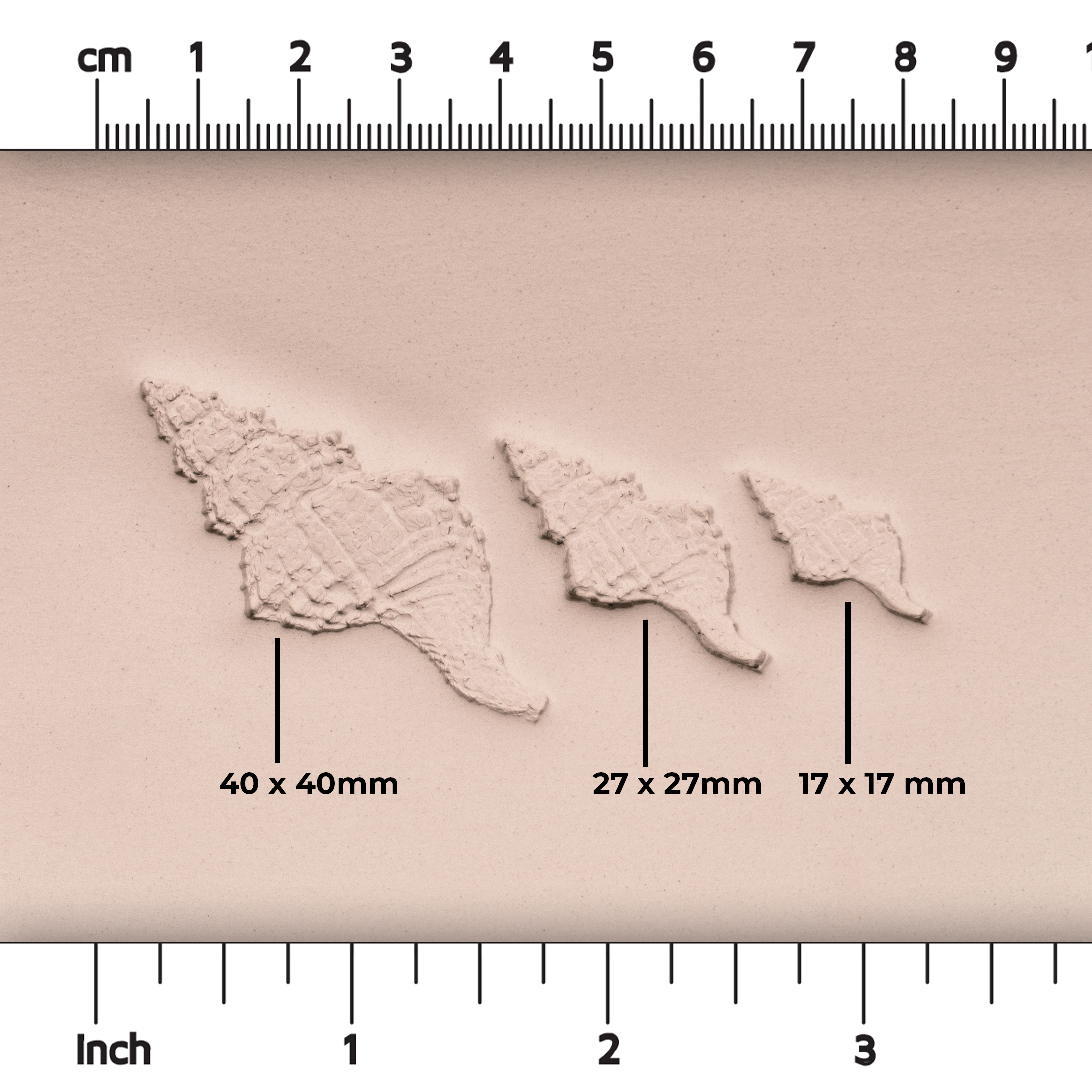 Conch Shell Stamp - Photo Textured - Style 1 - Ceramind® Tools