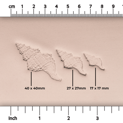 Snäckskalsvämpel - Fototexturerad - Stil 1 - Ceramind® Tools