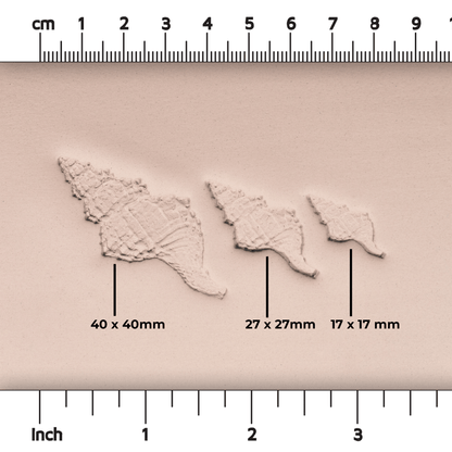 Conch Shell Stamp - Photo Textured - Style 1 - Ceramind® Tools