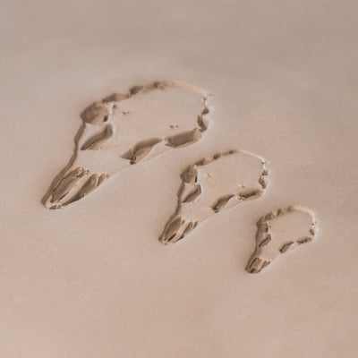 Hjortkraniumstämplar - Ceramind® Tools