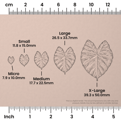 Elephant Leaf Stamps - Photo Textured - Ceramind® Tools