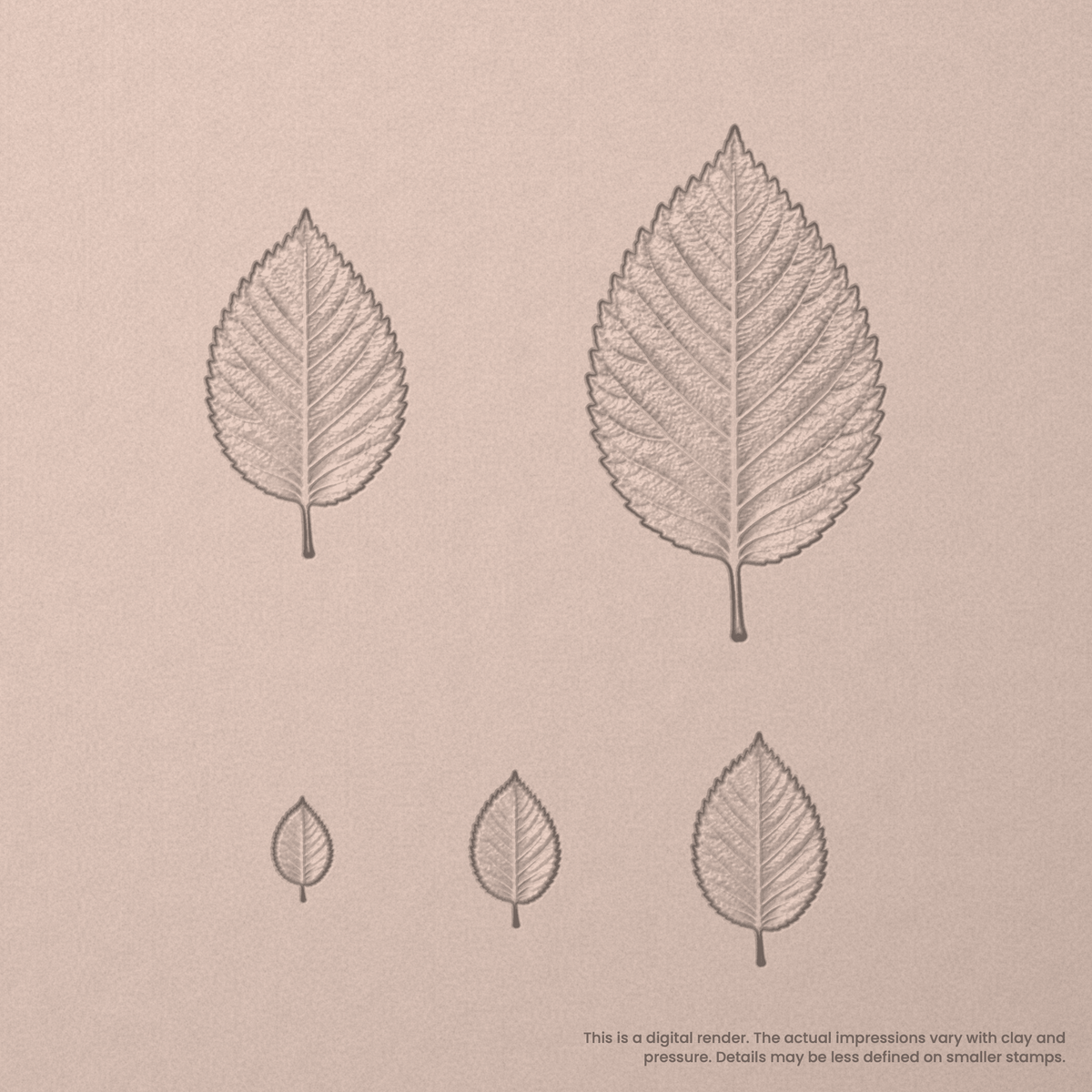 Elm Leaf Stamps - Photo Textured - Ceramind® Tools