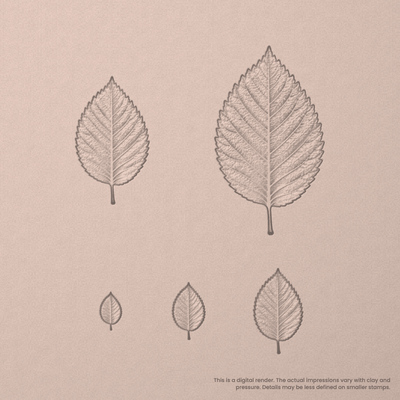 Elm Leaf Stamps - Photo Textured - Ceramind® Tools