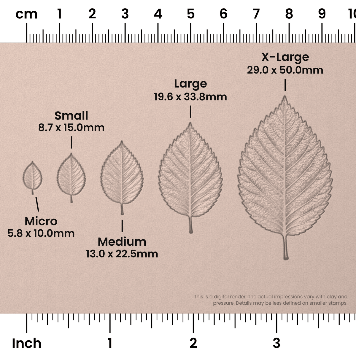Elm Leaf Stamps - Photo Textured - Ceramind® Tools
