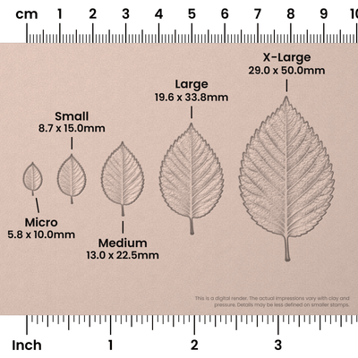 Elm Leaf Stamps - Photo Textured - Ceramind® Tools