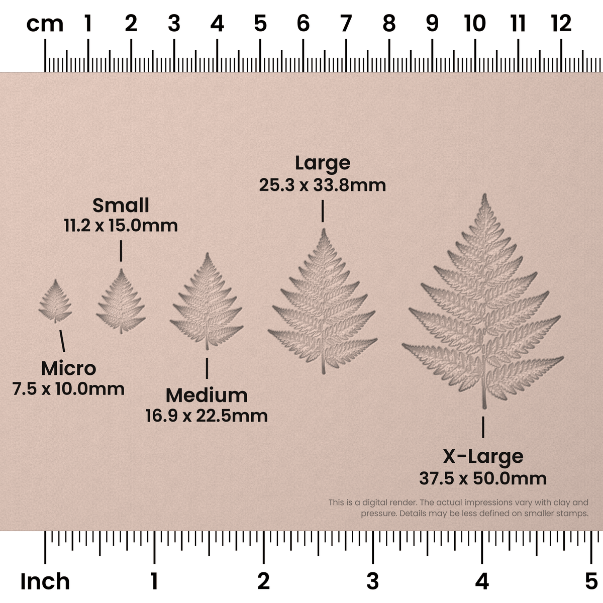 Fern Leaf Stamps - Photo Textured - Ceramind® Tools