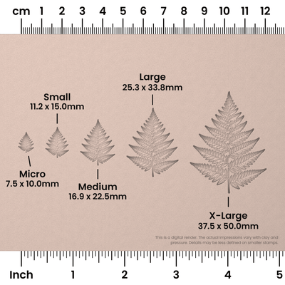 Fern Leaf Stamps - Photo Textured - Ceramind® Tools