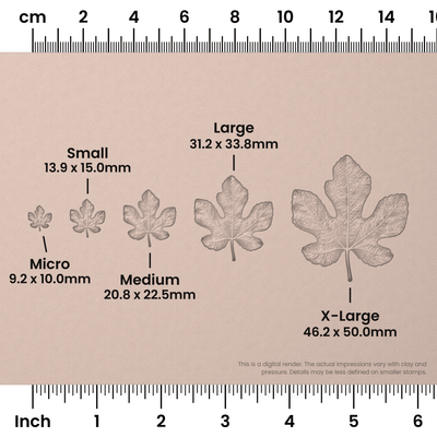 Fig Leaf Stamps - Photo Textured - Ceramind® Tools