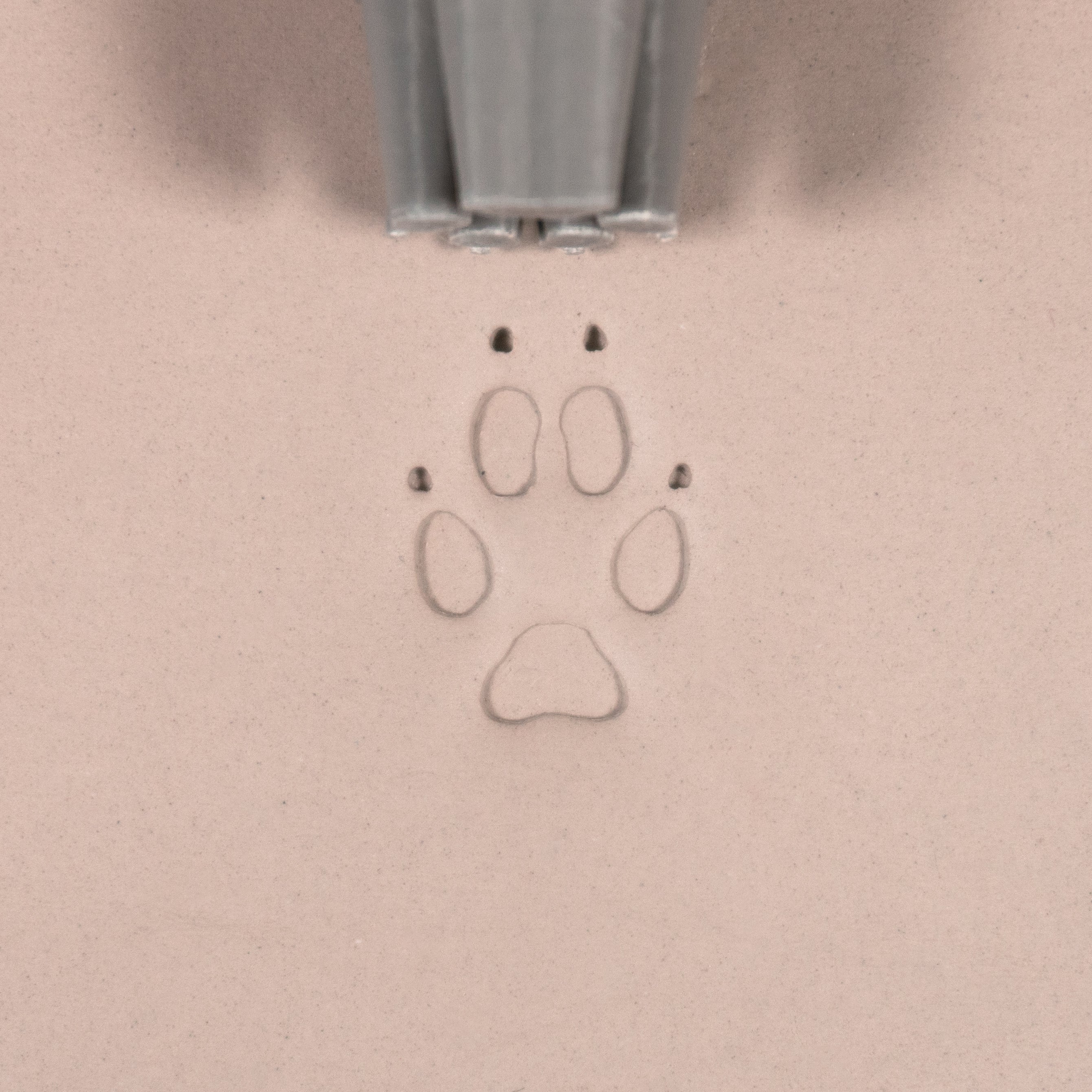 Fox Paw Stamp - Medium - Style 1 - Ceramind® Tools