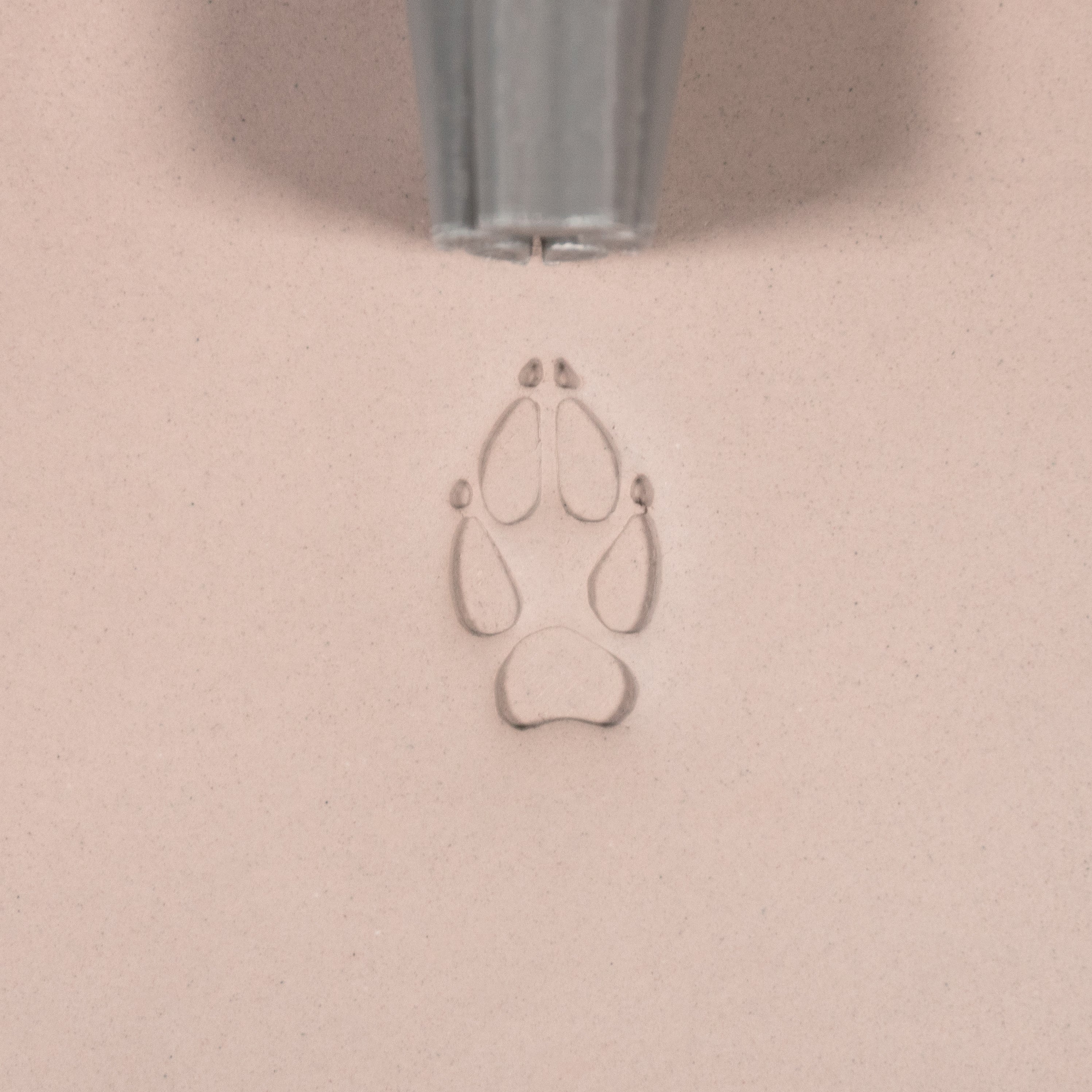 Fox Paw Stamp - Medium - Style 2 - Ceramind® Tools