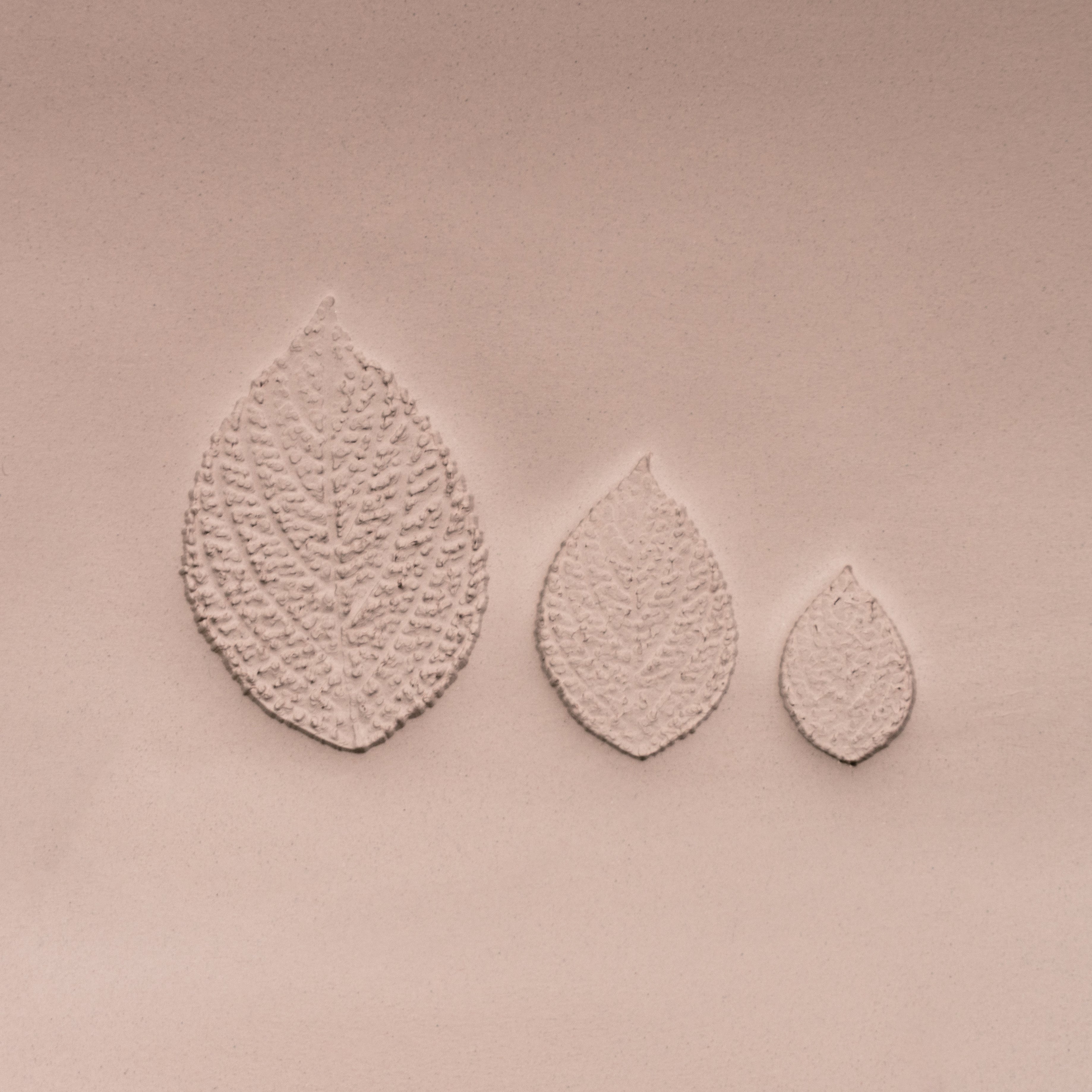 Generic Plant Leaf Stamp - Photo Textured - Style 1 - Ceramind® Tools