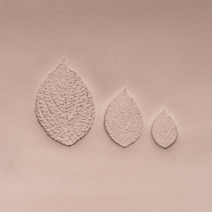 Generic Plant Leaf Stamp - Photo Textured - Style 1 - Ceramind® Tools