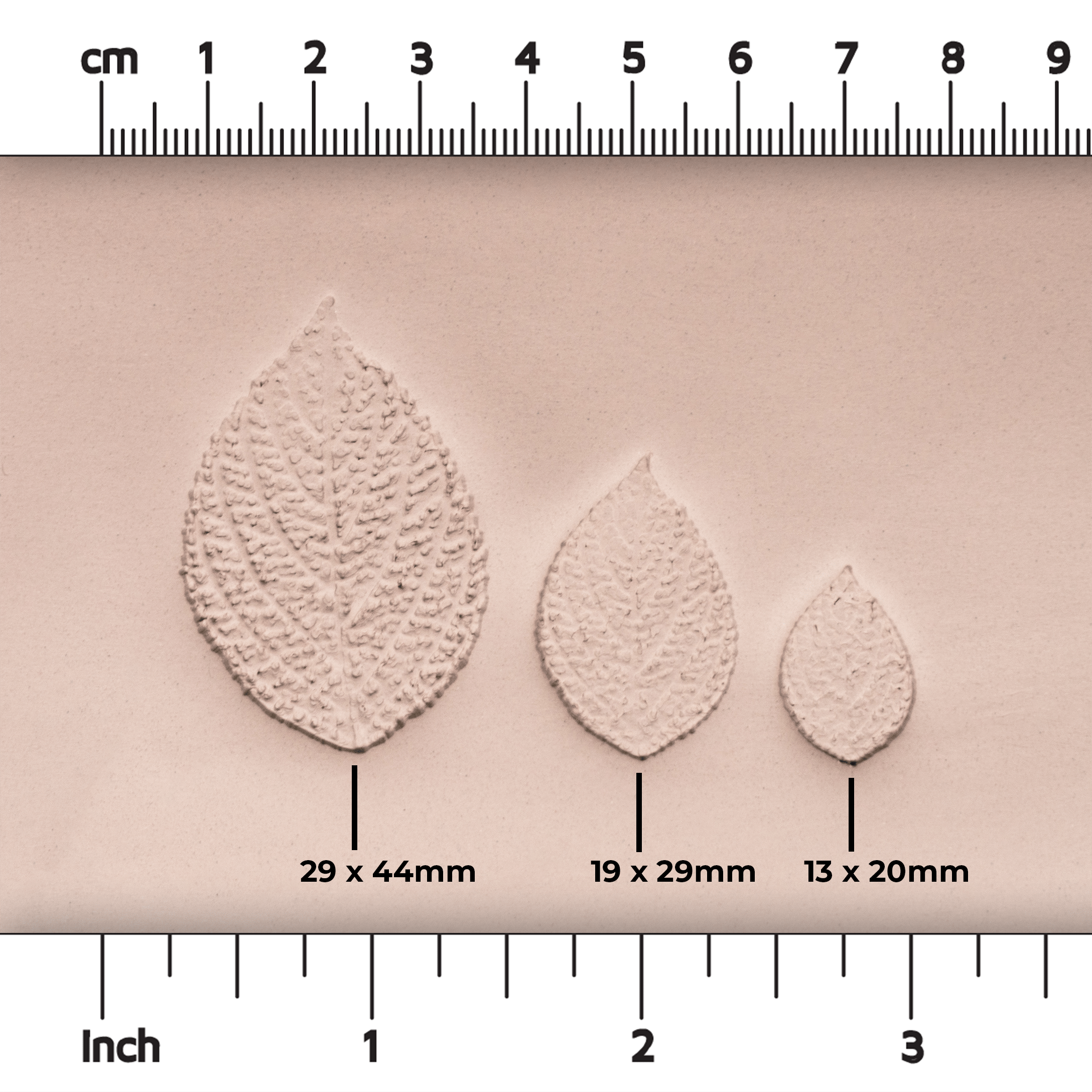Generic Plant Leaf Stamp - Photo Textured - Style 1 - Ceramind® Tools