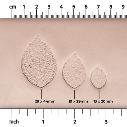 Generic Plant Leaf Stamp - Photo Textured - Style 1 - Ceramind® Tools