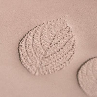 Generisk Växtbladstämpel - Fototexturerad - Stil 1 - Ceramind® Tools
